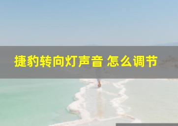 捷豹转向灯声音 怎么调节